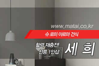 마타이 선릉1인샵 세희