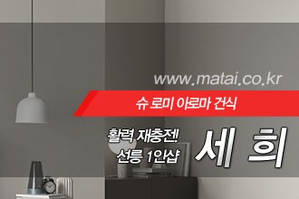 마타이 선릉1인샵 세희